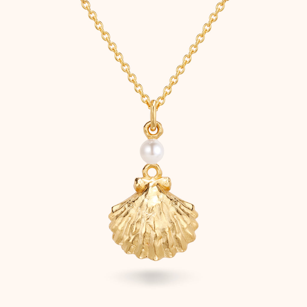 The Seashell Necklace