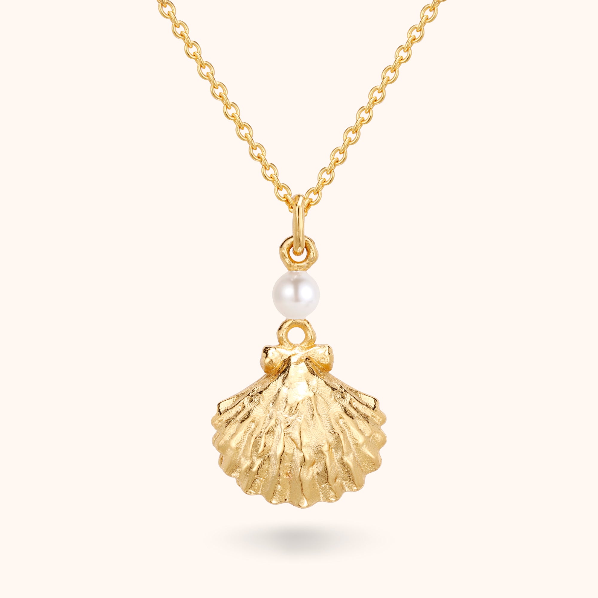 The Seashell Necklace