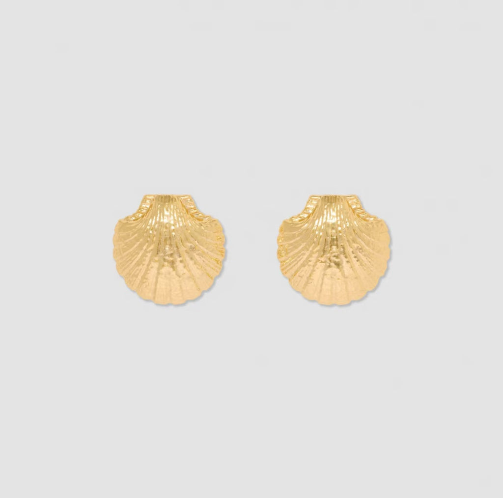 Shell Earrings