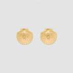 Shell Earrings