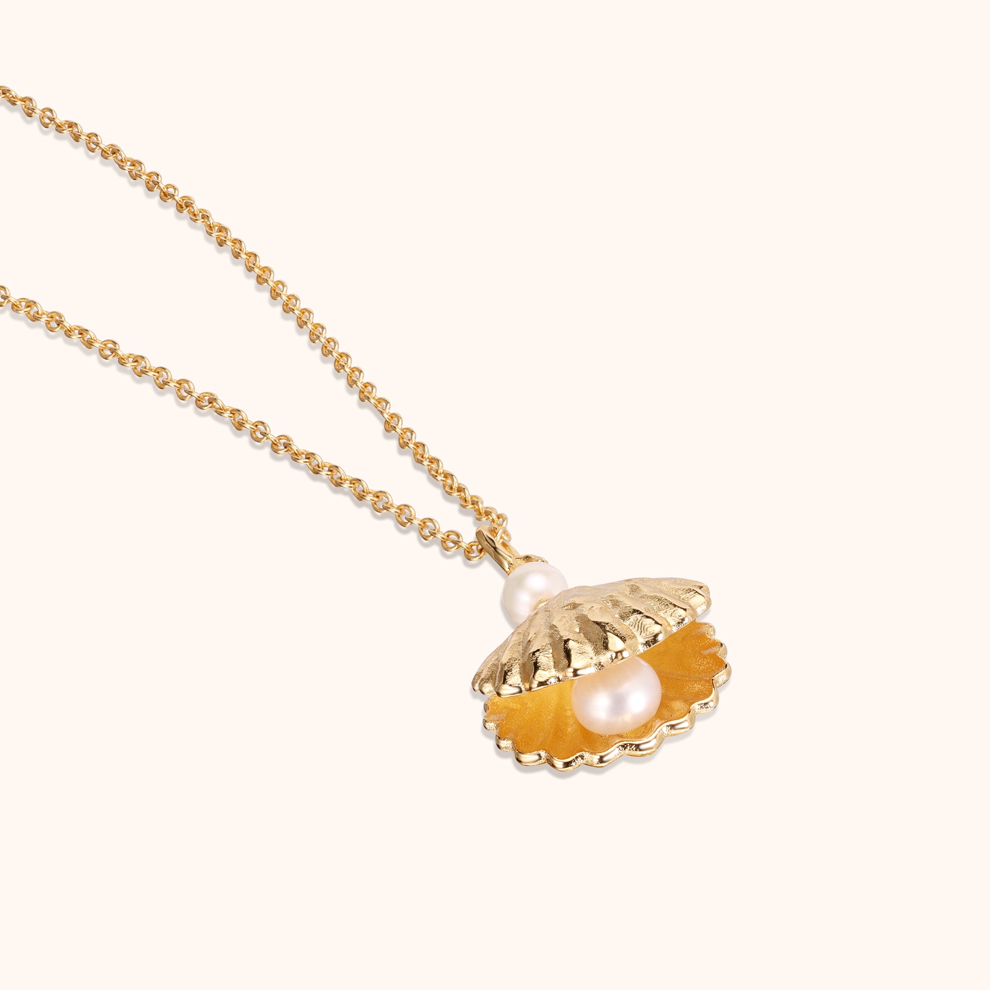 The Seashell Necklace