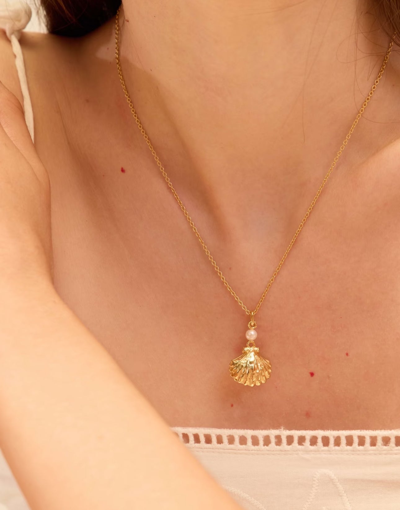 The Seashell Necklace