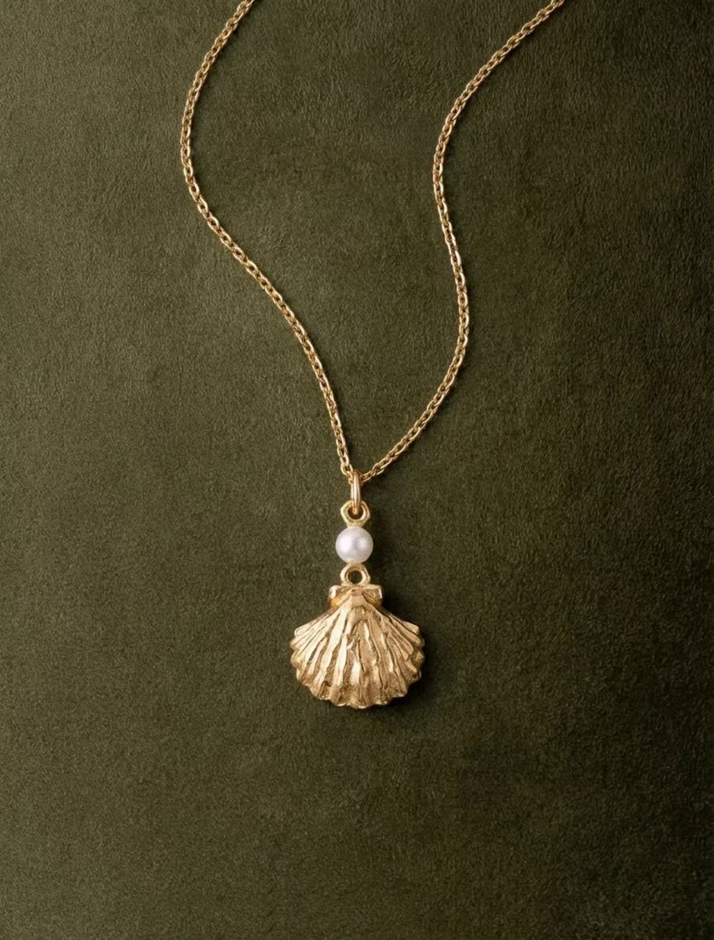 The Seashell Necklace